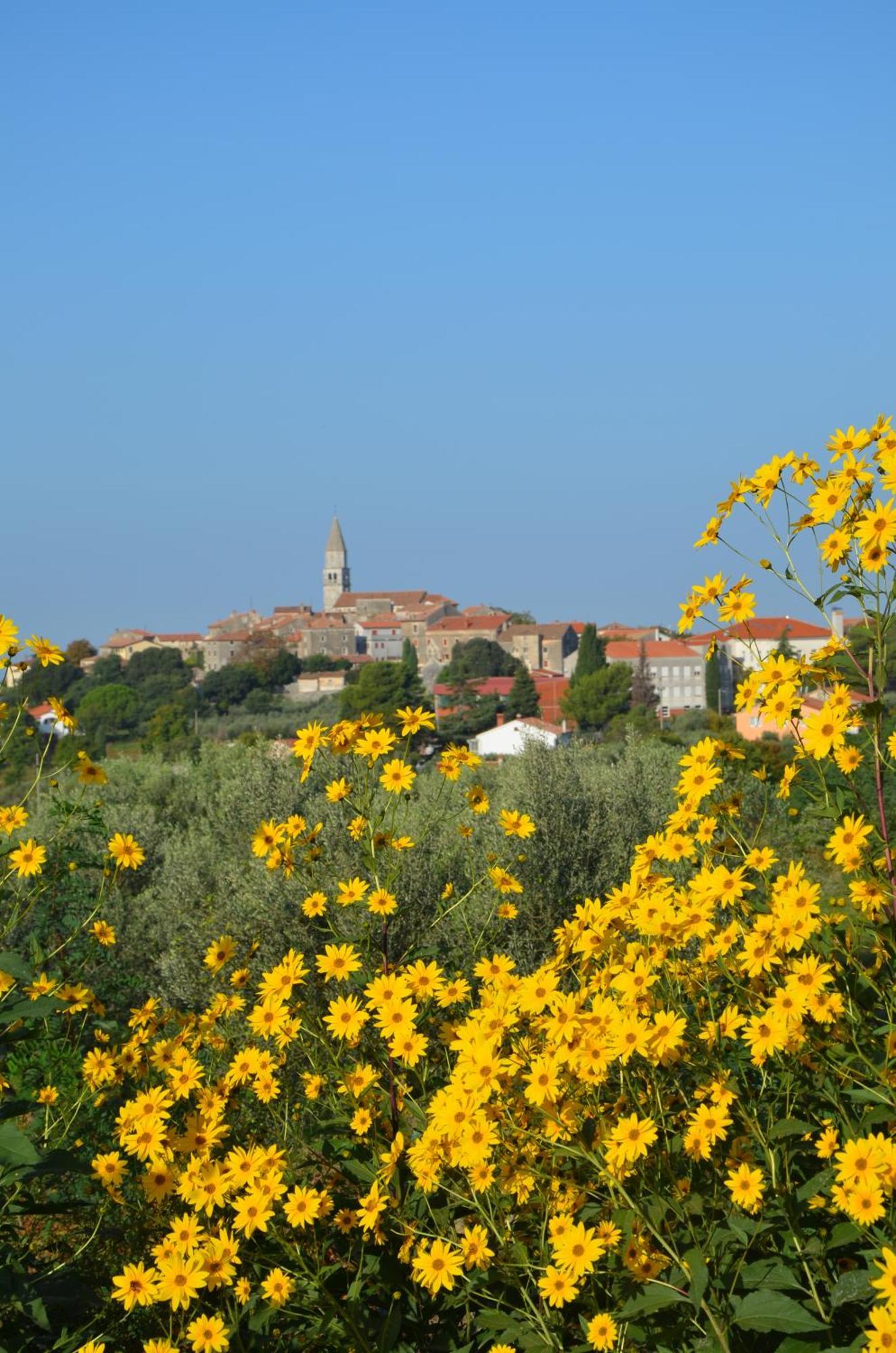Leopoldo By Istrian Country Villa *