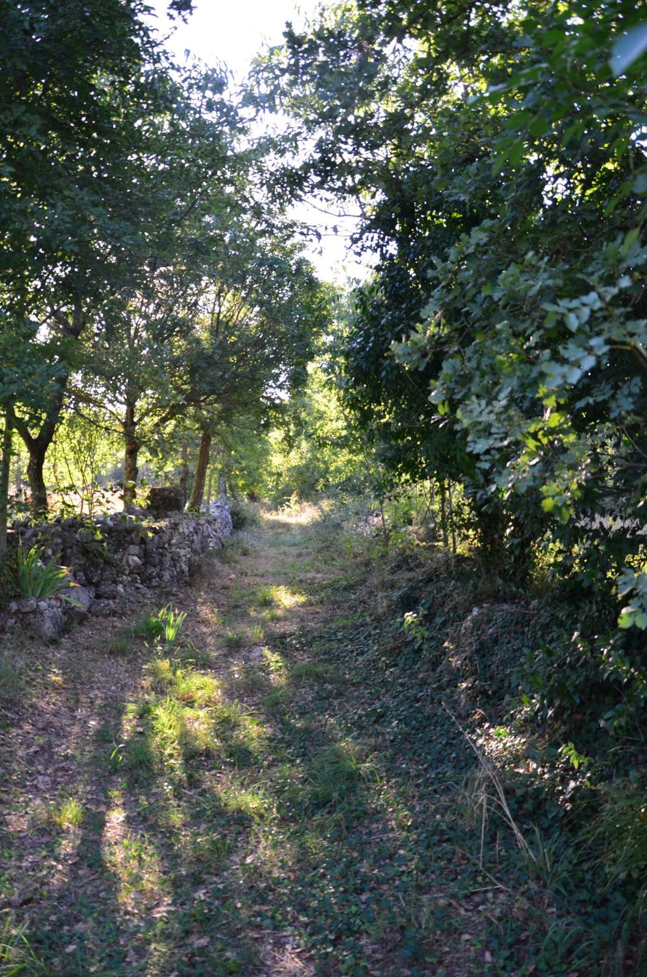 Leopoldo By Istrian Country *