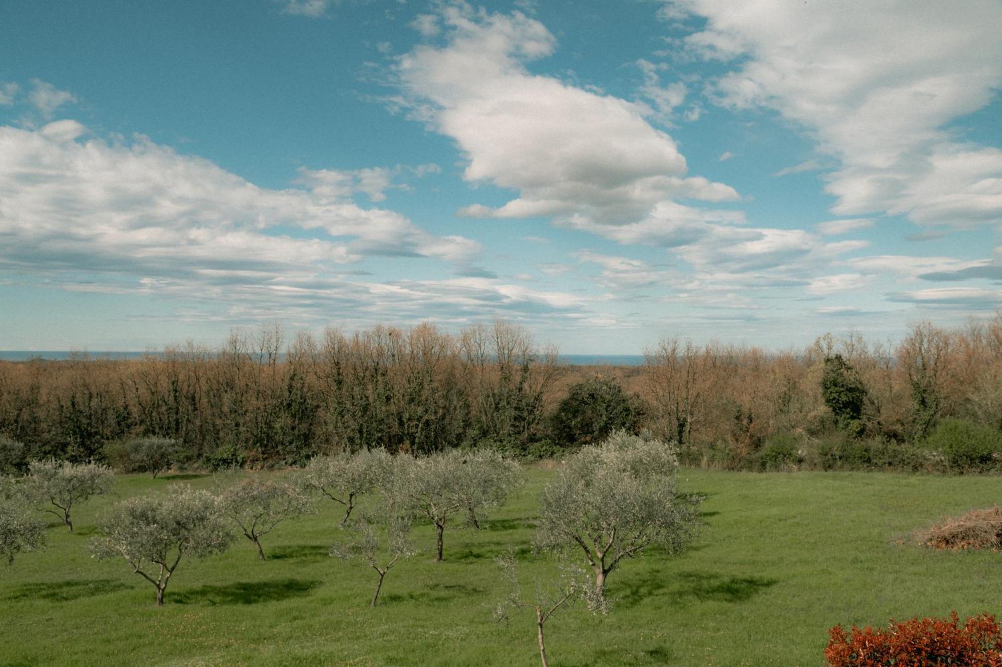 Villa Leopoldo By Istrian Country Barat