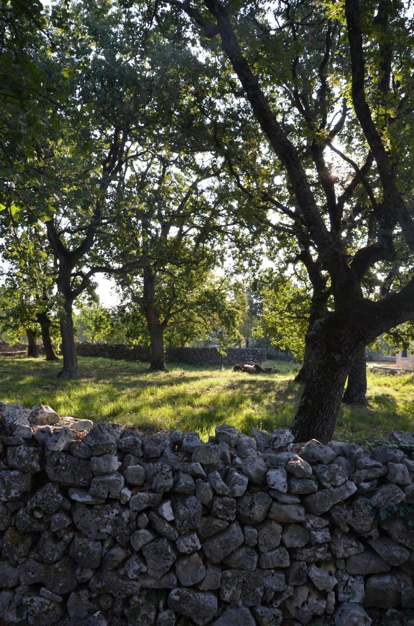 Leopoldo By Istrian Country *
