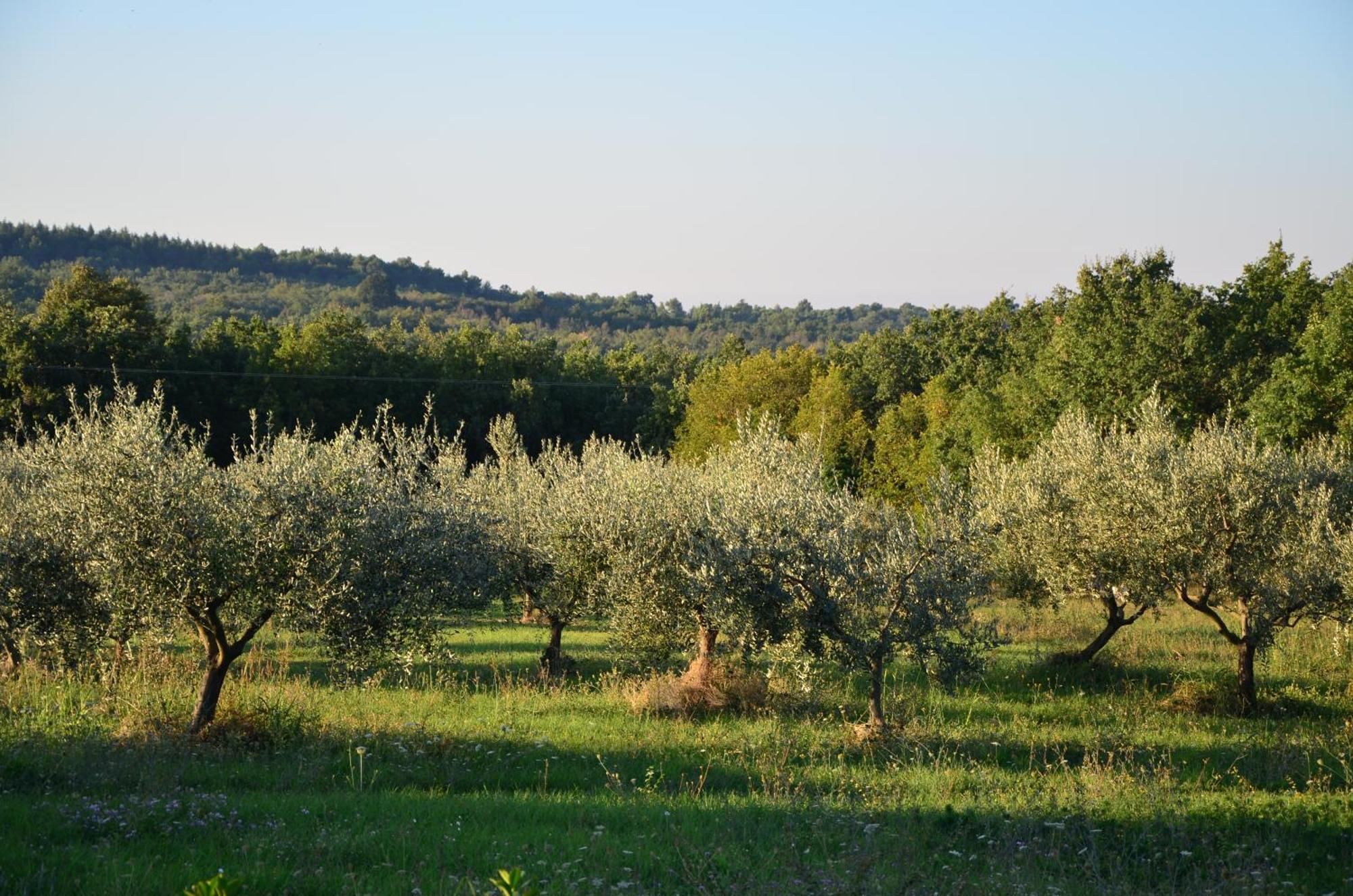 Leopoldo By Istrian Country Barat (Porec)